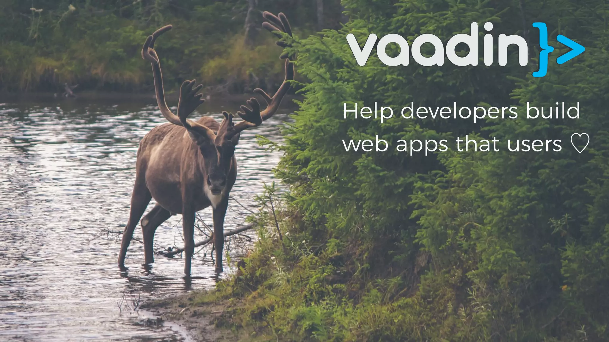 Help developers build
web apps that users ♡
 