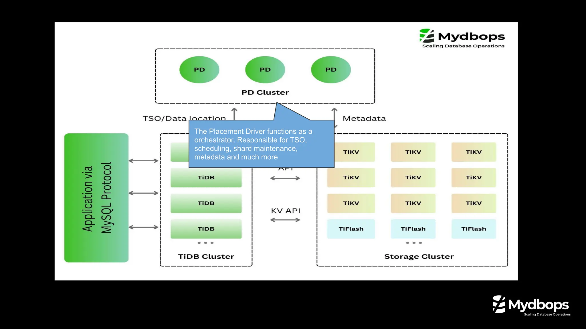 The Placement Driver functions as a
orchestrator. Responsible for TSO,
scheduling, shard maintenance,
metadata and much more
 