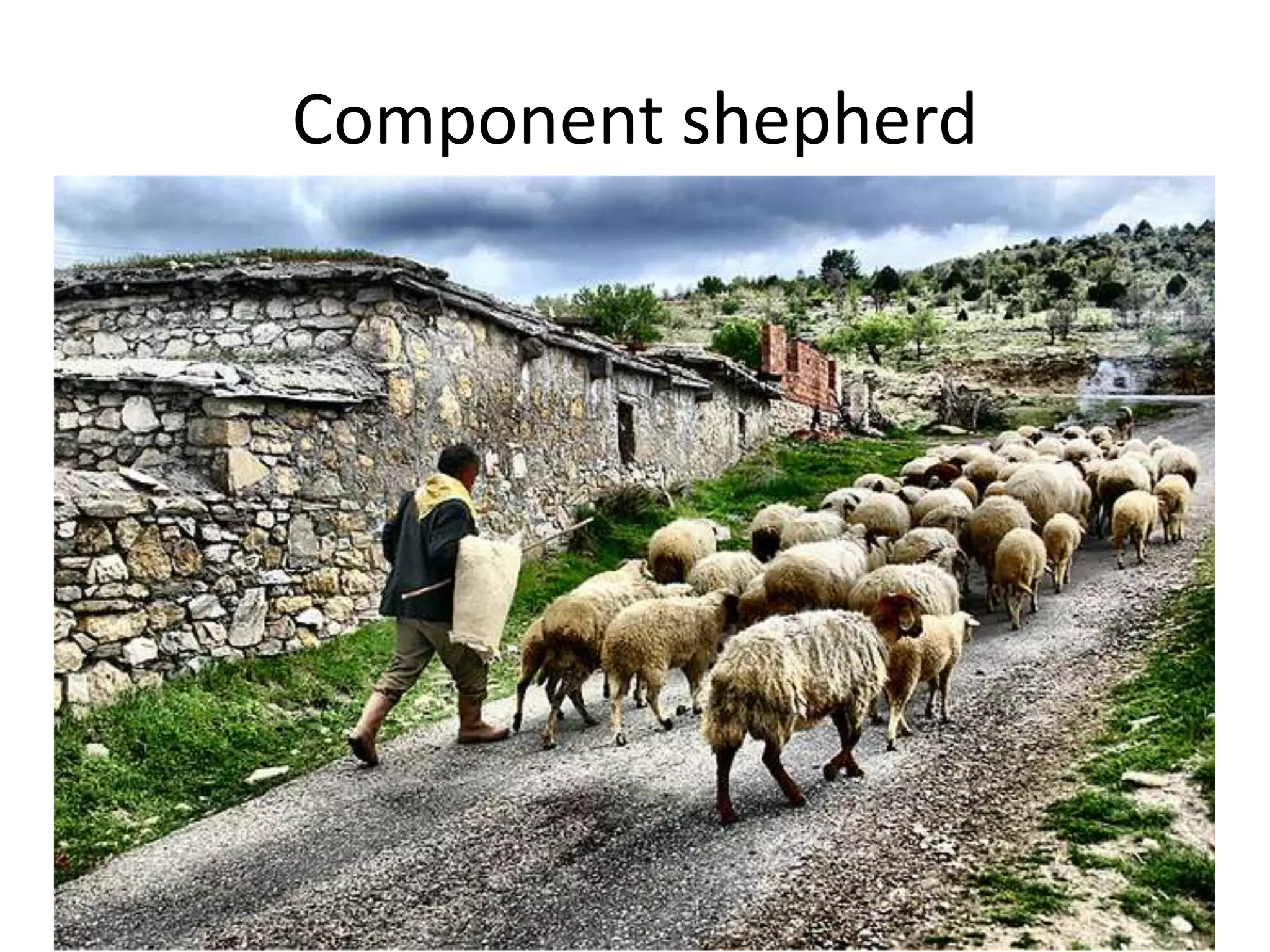 Component shepherd
 