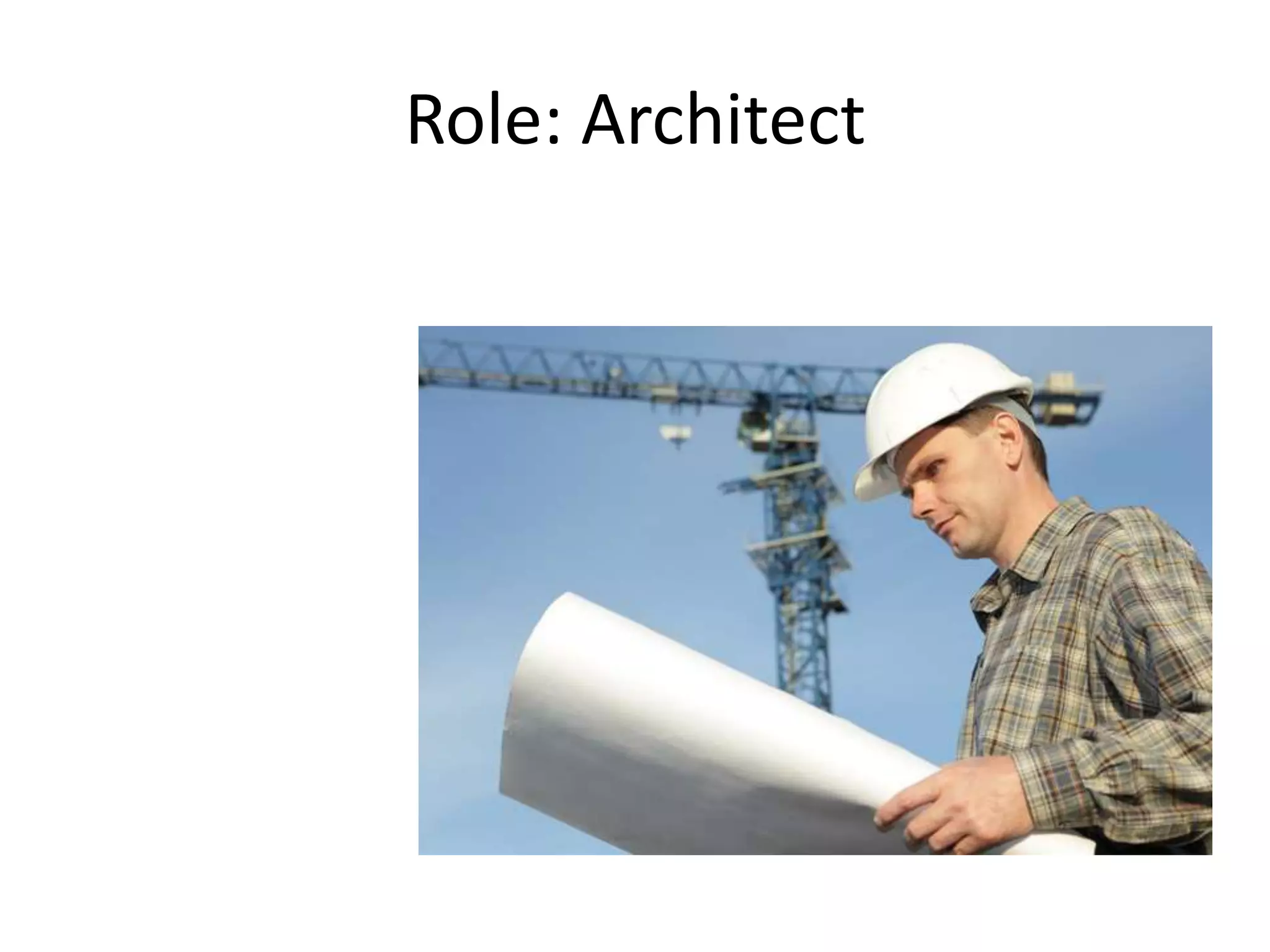 Role: Architect
 