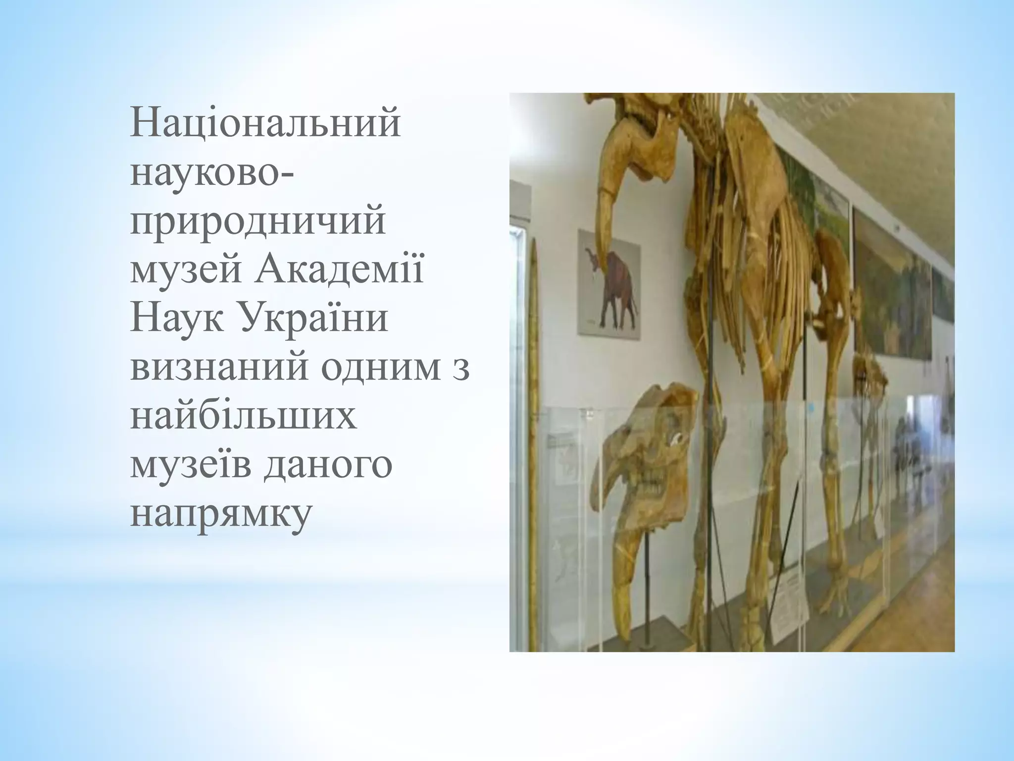 Національний
науково-
природничий
музей Академії
Наук України
визнаний одним з
найбільших
музеїв даного
напрямку
 
