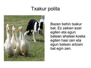 Txakur polita

        Bazen behin txakur
        bat. Ez zekien ezer
        egiten eta egun
        batean ahateei koska
        egiten hasi zen eta
        egun batean artzain
        bat egin zen.
 