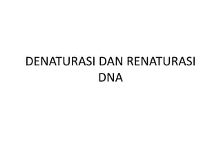DENATURASI DAN RENATURASI
           DNA
 