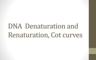 DNA Denaturation and Renaturation, Cot curves | PPTX