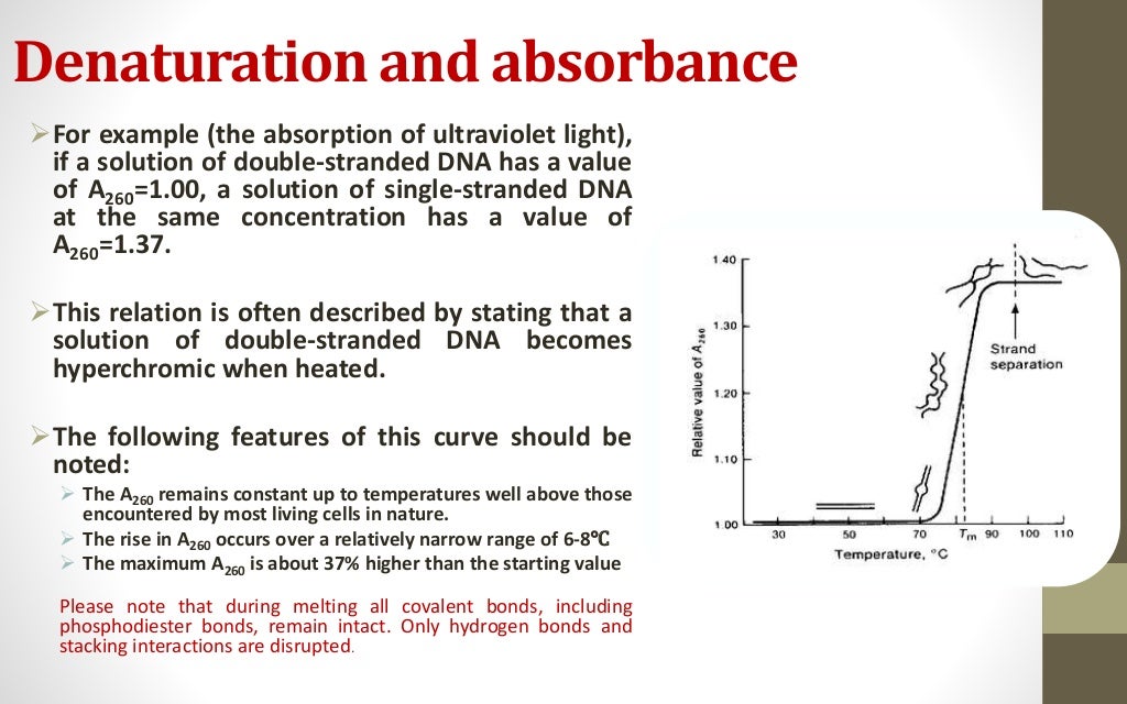 DNA Denaturation and Renaturation, Cot curves