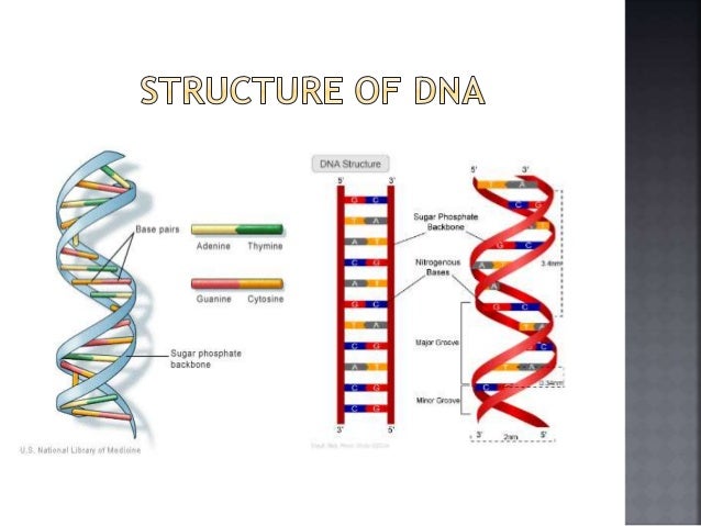 slideshare