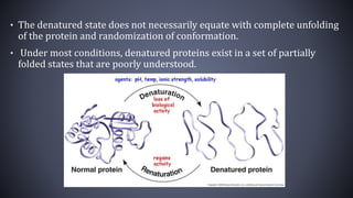 Denaturation of protein | PPTX