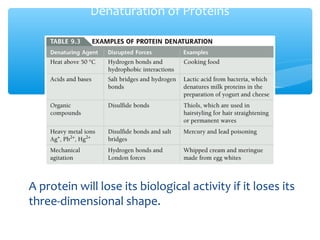 Denaturation of proteins | PPT