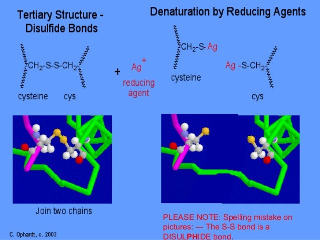 Denaturation of proteins