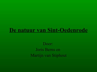 De natuur van Sint-Oedenrode Door:  Joris Berns en  Martijn van Stiphout 