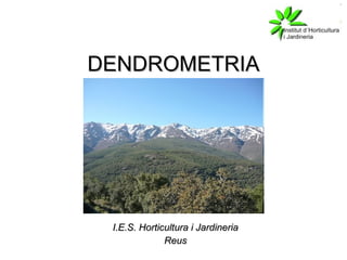 DENDROMETRIA I.E.S. Horticultura i Jardineria Reus 