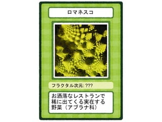 ロマネスコ
お洒落なレストランで
稀に出てくる実在する
野菜（アブラナ科）
フラクタル次元: ???
 