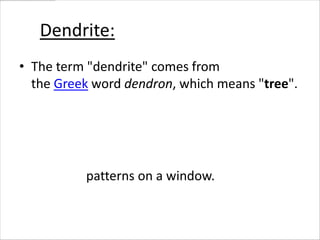 Dendrite:
• The term "dendrite" comes from
  the Greek word dendron, which means "tree".
• A dendrite is a crystal with a tree like
  branching structure.
• Dendritic crystal growth is very common and
  illustrated by snowflake formation
  and frost patterns on a window.
 
