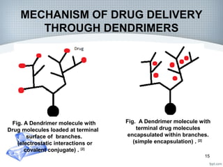 Dendrimers : A recent drug delivery system | PPT