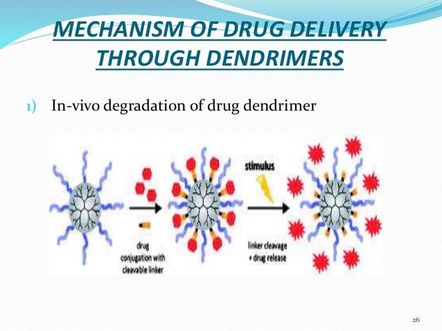 Dendrimer Drug Delivery | Dendrimer Delivery System – OHYDHC
