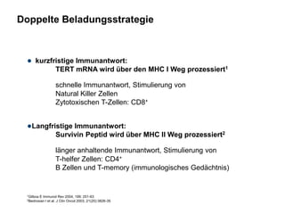 Doppelte Beladungsstrategie
● kurzfristige Immunantwort:
TERT mRNA wird über den MHC I Weg prozessiert1
schnelle Immunantwort, Stimulierung von
Natural Killer Zellen
Zytotoxischen T-Zellen: CD8+
●Langfristige Immunantwort:
Survivin Peptid wird über MHC II Weg prozessiert2
länger anhaltende Immunantwort, Stimulierung von
T-helfer Zellen: CD4+
B Zellen und T-memory (immunologisches Gedächtnis)
1Gilboa E Immunol Rev 2004, 199: 251-63
2Bedrosian I et al. J Clin Oncol 2003, 21(20):3826-35
 