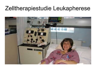 Zelltherapiestudie Leukapherese
 