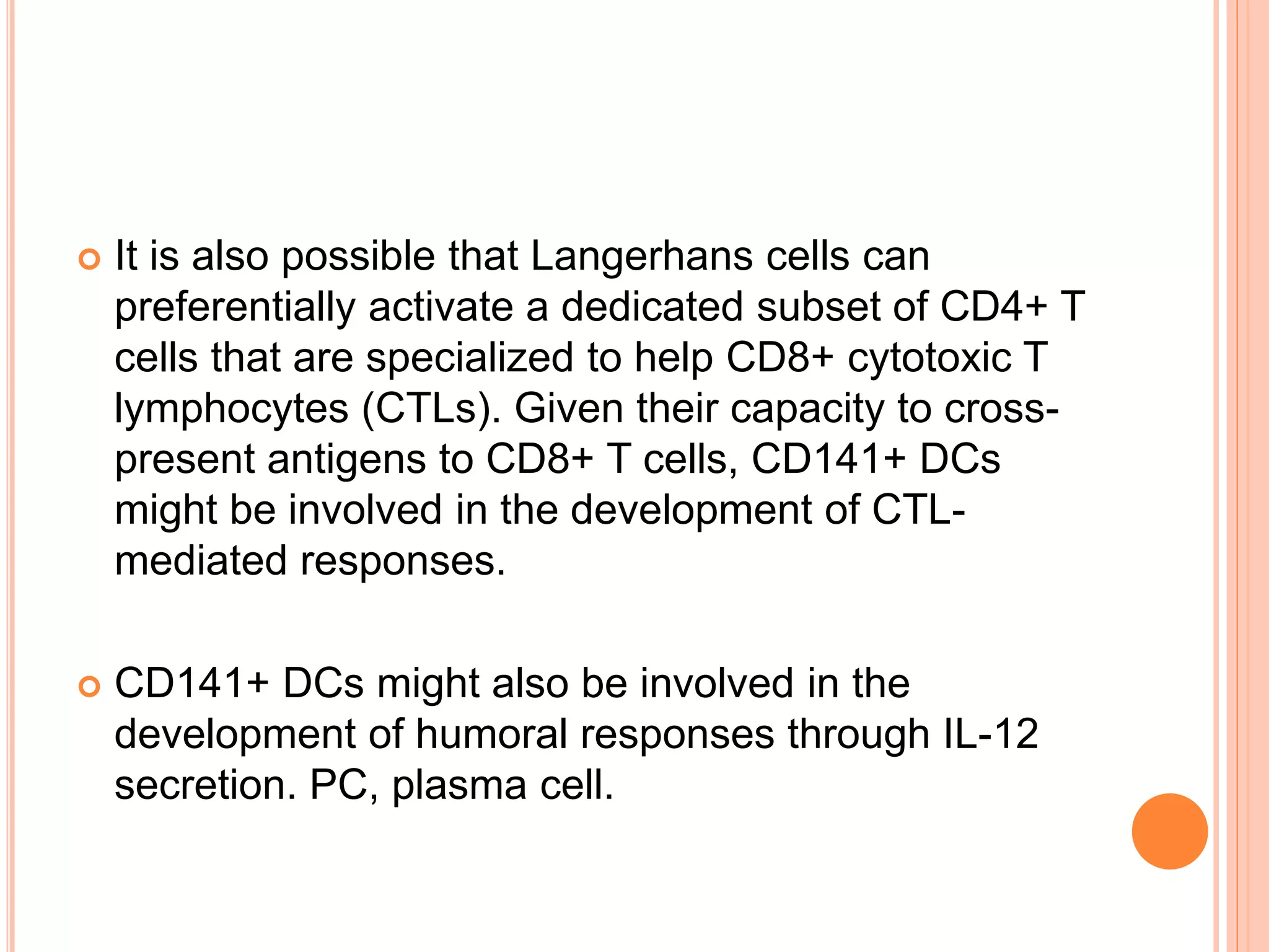  It is also possible that Langerhans cells can
preferentially activate a dedicated subset of CD4+ T
cells that are specialized to help CD8+ cytotoxic T
lymphocytes (CTLs). Given their capacity to cross-
present antigens to CD8+ T cells, CD141+ DCs
might be involved in the development of CTL-
mediated responses.
 CD141+ DCs might also be involved in the
development of humoral responses through IL-12
secretion. PC, plasma cell.
 
