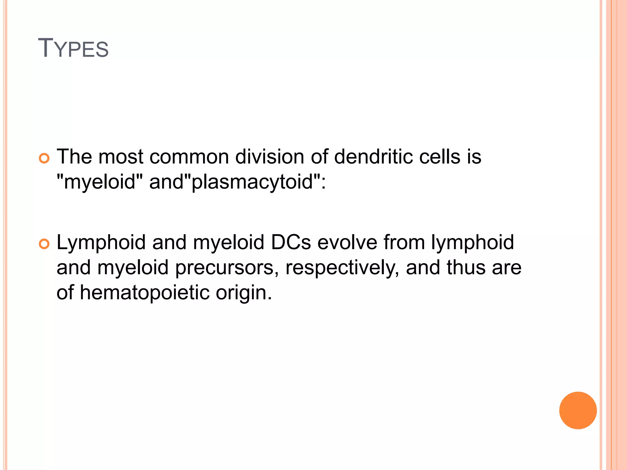 TYPES
 The most common division of dendritic cells is
"myeloid" and"plasmacytoid":
 Lymphoid and myeloid DCs evolve from lymphoid
and myeloid precursors, respectively, and thus are
of hematopoietic origin.
 