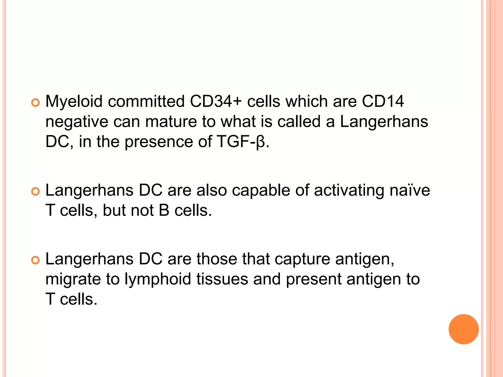  Myeloid committed CD34+ cells which are CD14
negative can mature to what is called a Langerhans
DC, in the presence of TGF-β.
 Langerhans DC are also capable of activating naïve
T cells, but not B cells.
 Langerhans DC are those that capture antigen,
migrate to lymphoid tissues and present antigen to
T cells.
 
