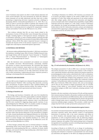 Dendritic Cell Functionin Cancer Immunity A Systematic Review.pdf