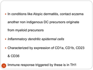  In conditions like Atopic dermatitis, contact eczema
another non indigenous DC precursors originate
from myeloid precursors
 Inflammatory dendritic epidermal cells
 Characterized by expression of CD1a, CD1b, CD23
& CD36
 Immune response triggered by these is in TH112
 