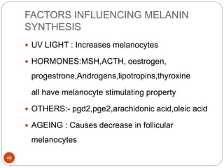 FACTORS INFLUENCING MELANIN
SYNTHESIS
 UV LIGHT : Increases melanocytes
 HORMONES:MSH,ACTH, oestrogen,
progestrone,Androgens,lipotropins,thyroxine
all have melanocyte stimulating property
 OTHERS:- pgd2,pge2,arachidonic acid,oleic acid
 AGEING : Causes decrease in follicular
melanocytes
48
 