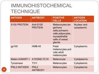 IMMUNOHISTOCHEMICAL
TECHNIQUE
ANTIGEN ANTIBODY POSITIVE
CELLS
ANTIGEN
LOCATION
S100 PROTEIN Anti-S100
PROTEIN
Melanocytes,lan
gerhans
cells,schwann
cells,adipocytes,
myoepithelial
cells of sweat
glands
Nuclear and
cytoplasmic
gp100 HMB-45 Fetal
melanocytes,acti
vate adult
melanocytes
Cytoplasmic
Melan-A/MART-1 A103/M2-7C10 Melanocyte Cytolplasmic
Tyrosinase T311 Melanocytes Cytoplasmic
PNL2 ANTIGEN PNL2
ANTIBODY
Melanocytes Cytoplasmis
59
 