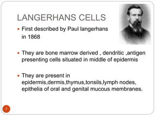 LANGERHANS CELLS
 First described by Paul langerhans
in 1868
 They are bone marrow derived , dendritic ,antigen
presenting cells situated in middle of epidermis
 They are present in
epidermis,dermis,thymus,tonsils,lymph nodes,
epithelia of oral and genital mucous membranes.
7
 