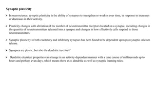 Dendritic excitability and synaptic plasticity | PPTX