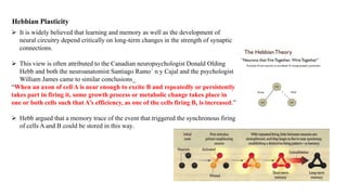 Dendritic excitability and synaptic plasticity | PPTX