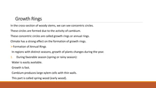 Comprehensive Study of Dendrochronology: Tree Rings and Their ...