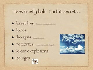 Trees quietly hold Earth’s secrets...

 forest ﬁres      forestﬁre-hutto.jpg 382×287 pixels




 ﬂoods
 droughts   701.jpg 480×516 pixels




 meteorites       meteor-strike.jpg 1,024×768 pixels




 volcanic explosions
 Ice Ages

                                     2
 