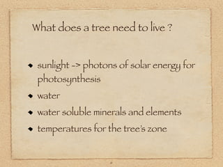What does a tree need to live ?


 sunlight -> photons of solar energy for
 photosynthesis
 water
 water soluble minerals and elements
 temperatures for the tree’s zone


                   6
 