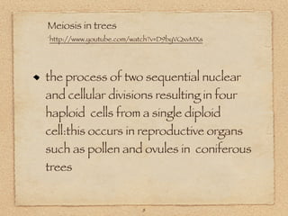 Meiosis in trees
`http://www.youtube.com/watch?v=D9byVQxvMXs




the process of two sequential nuclear
and cellular divisions resulting in four
haploid cells from a single diploid
cell:this occurs in reproductive organs
such as pollen and ovules in coniferous
trees


                          8
 