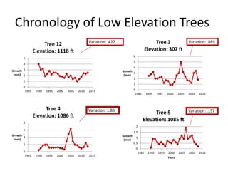 Chronology of Low Elevation Trees
0
1
2
3
4
5
1985 1990 1995 2000 2005 2010 2015
Growth
(mm)
Tree 12
Elevation: 1118 ft
0
1
2
3
4
5
6
1985 1990 1995 2000 2005 2010 2015
Growth
(mm)
Tree 3
Elevation: 307 ft
0
2
4
6
8
1985 1990 1995 2000 2005 2010 2015
Growth
(mm)
Tree 4
Elevation: 1086 ft
0
0.5
1
1.5
2
1985 1990 1995 2000 2005 2010 2015
Growth
(mm)
Years
Tree 5
Elevation: 1085 ft
Variation: .427 Variation: .889
Variation: 1.86 Variation: .157
 