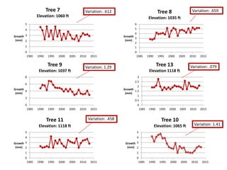 0
1
2
3
4
5
1985 1990 1995 2000 2005 2010 2015
Growth
(mm)
Tree 7
Elevation: 1060 ft
0
1
2
3
4
5
6
1985 1990 1995 2000 2005 2010 2015
Growth
(mm)
Tree 8
Elevation: 1035 ft
0
2
4
6
8
1985 1990 1995 2000 2005 2010 2015
Growth
(mm)
Tree 9
Elevation: 1037 ft
0
0.5
1
1.5
2
2.5
3
1985 1990 1995 2000 2005 2010 2015
Growth
(mm)
Tree 13
Elevation 1118 ft
0
1
2
3
4
5
1985 1990 1995 2000 2005 2010 2015
Growth
(mm)
Tree 11
Elevation: 1118 ft
Variation: .612 Variation: .659
Variation: 1.29 Variation: .079
Variation: .458
0
1
2
3
4
5
1985 1990 1995 2000 2005 2010 2015
Growth
(mm)
Tree 10
Elevation: 1065 ft Variation: 1.41
 