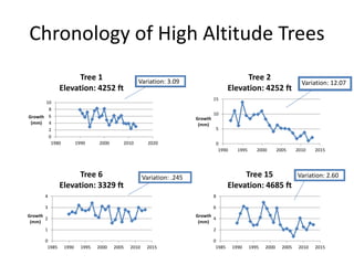 Chronology of High Altitude Trees
0
2
4
6
8
10
1980 1990 2000 2010 2020
Growth
(mm)
Tree 1
Elevation: 4252 ft
0
5
10
15
1990 1995 2000 2005 2010 2015
Growth
(mm)
Tree 2
Elevation: 4252 ft
0
1
2
3
4
1985 1990 1995 2000 2005 2010 2015
Growth
(mm)
Tree 6
Elevation: 3329 ft
0
2
4
6
8
1985 1990 1995 2000 2005 2010 2015
Growth
(mm)
Tree 15
Elevation: 4685 ft
Variation: 3.09
Variation: .245
Variation: 12.07
Variation: 2.60
 