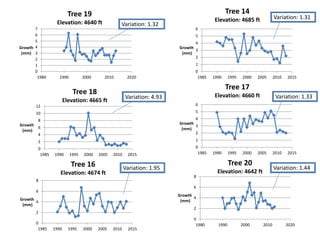 0
1
2
3
4
5
6
7
1980 1990 2000 2010 2020
Growth
(mm)
Tree 19
Elevation: 4640 ft
0
1
2
3
4
5
6
1985 1990 1995 2000 2005 2010 2015
Growth
(mm)
Tree 14
Elevation: 4685 ft
0
2
4
6
8
10
12
1985 1990 1995 2000 2005 2010 2015
Growth
(mm)
Tree 18
Elevation: 4665 ft
0
2
4
6
8
1985 1990 1995 2000 2005 2010 2015
Growth
(mm)
Tree 16
Elevation: 4674 ft
Variation: 1.32
Variation: 1.31
Variation: 4.93
Variation: 1.95
0
1
2
3
4
5
6
1985 1990 1995 2000 2005 2010 2015
Growth
(mm)
Tree 17
Elevation: 4660 ft Variation: 1.33
0
2
4
6
8
1980 1990 2000 2010 2020
Growth
(mm)
Tree 20
Elevation: 4642 ft
Variation: 1.44
 