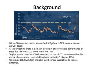 • With a 300 ppm increase in atmospheric CO2 there is 30% increase in plant
growth (Idso).
• At the timberline there is a 10-20% decline in photosynthetic performance of
trees due to natural CO2 levels (Beniston 180).
• “Higher partial pressure of CO2 increases the rate of CO2 reactions with rubisco
during photosynthesis, and inhibits photorespiration” (Bazzaz, 1990).
• With rising CO2 levels high altitudes may be more susceptible to climate
extremes.
Background
 