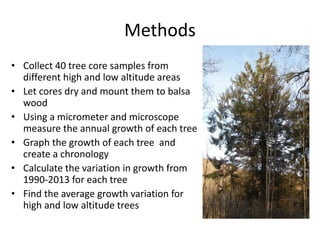 Methods
• Collect 40 tree core samples from
different high and low altitude areas
• Let cores dry and mount them to balsa
wood
• Using a micrometer and microscope
measure the annual growth of each tree
• Graph the growth of each tree and
create a chronology
• Calculate the variation in growth from
1990-2013 for each tree
• Find the average growth variation for
high and low altitude trees
 
