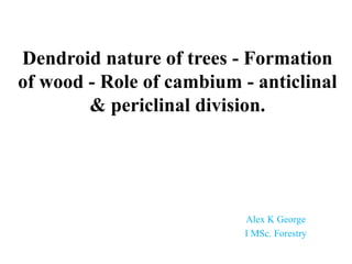 Dendroid nature of trees - Formation
of wood - Role of cambium - anticlinal
& periclinal division.
Alex K George
I MSc. Forestry
 