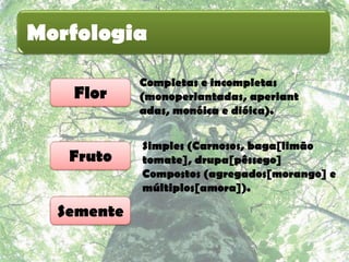 Morfologia
            Completas e incompletas
   Flor     (monoperiantadas, aperiant
            adas, monóica e dióica).


            Simples (Carnosos, baga[limão
   Fruto    tomate], drupa[pêssego]
            Compostos (agregados[morango] e
            múltiplos[amora]).

  Semente
 