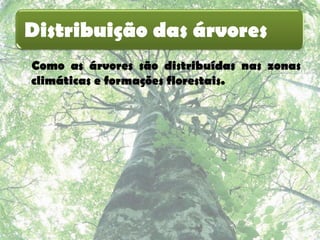 Distribuição das árvores
Como as árvores são distribuídas nas zonas
climáticas e formações florestais.
 