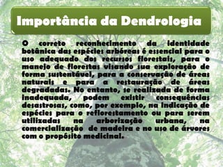 Importância da Dendrologia
O correto reconhecimento da identidade
botânica das espécies arbóreas é essencial para o
uso adequado dos recursos florestais, para o
manejo de florestas visando sua exploração de
forma sustentável, para a conservação de áreas
naturais e para a restauração de áreas
degradadas. No entanto, se realizada de forma
inadequada, podem existir consequências
desastrosas, como, por exemplo, na indicação de
espécies para o reflorestamento ou para serem
utilizadas    na   arborização     urbana,    na
comercialização de madeira e no uso de árvores
com o propósito medicinal.
 