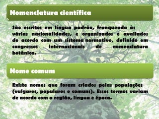 Nomenclatura científica

São escritos em língua padrão, franqueada às
várias nacionalidades, e organizados e avaliados
de acordo com um sistema normativo, definido em
congressos    internacionais   de   nomenclatura
botânica.


Nome comum
Existe nomes que foram criados pelas populações
(vulgares, populares e comuns). Esses termos variam
de acordo com a região, língua e época.
 