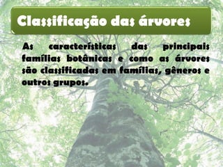 Classificação das árvores
As    características  das    principais
famílias botânicas e como as árvores
são classificadas em famílias, gêneros e
outros grupos.
 