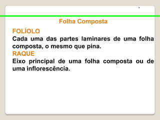 -
Folha Composta
FOLÍOLO
Cada uma das partes laminares de uma folha
composta, o mesmo que pina.
RAQUE
Eixo principal de uma folha composta ou de
uma inflorescência.
 