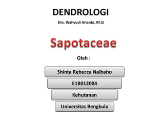 DENDROLOGI
Drs. Wahyudi Arianto, M.Si

Oleh :

Shinta Rebecca Naibaho
E1B012004
Kehutanan
Universitas Bengkulu

 