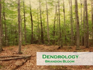 !

Dendrology
Brandon Bloom

 